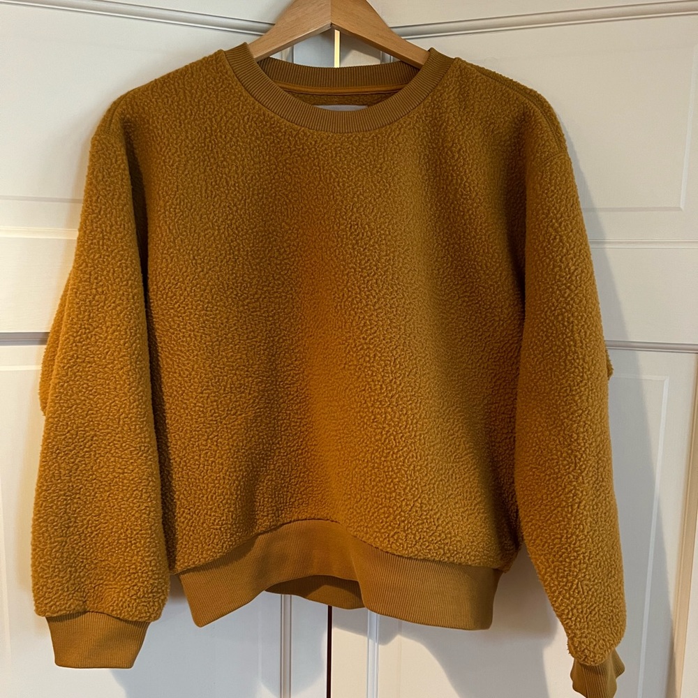 Everlane Teddy crew sweater